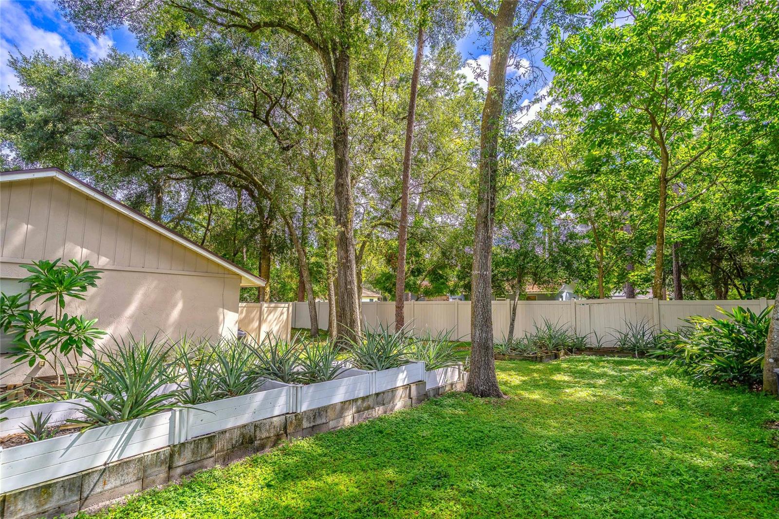 Image 21 of 25 For 971 Blackwood Street