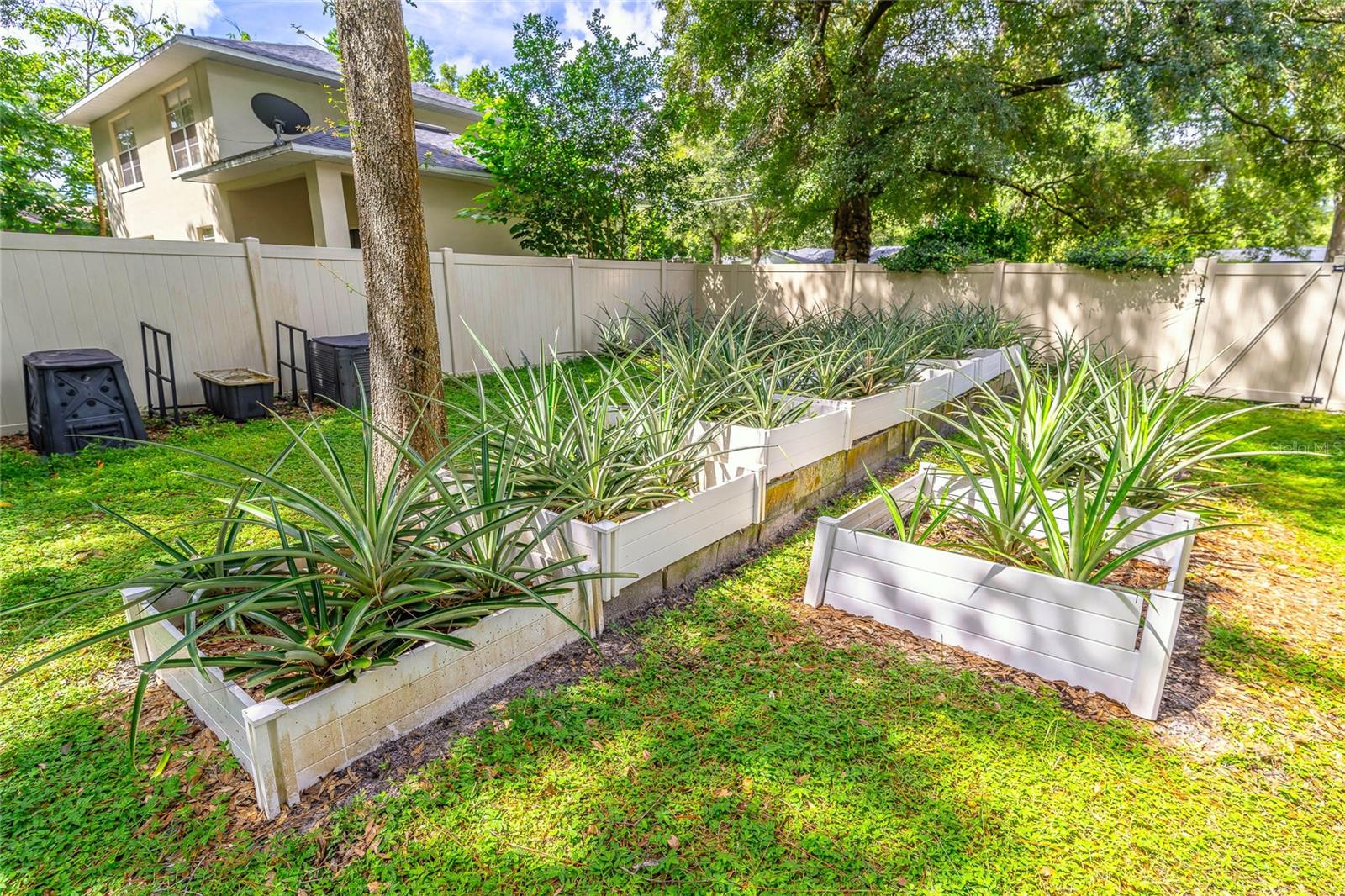 Image 23 of 25 For 971 Blackwood Street