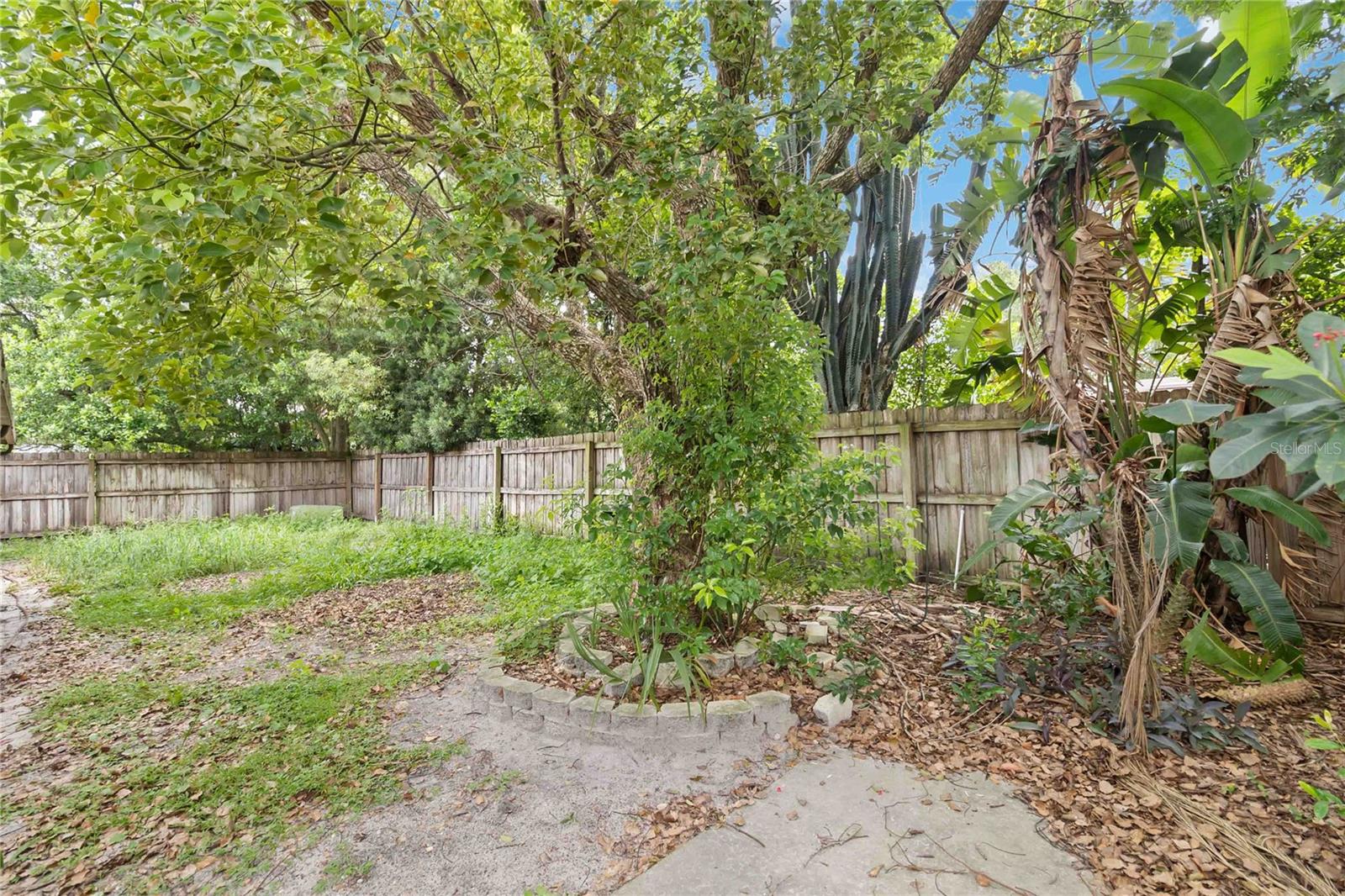 Image 19 of 25 For 221 Albert Street