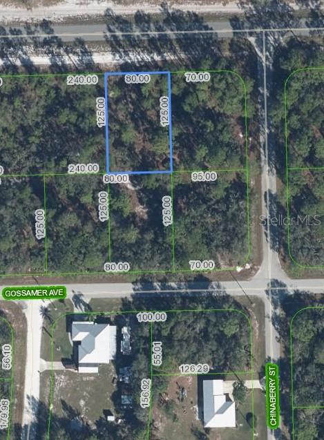 Details for 3226 Lake June Boulevard, LAKE PLACID, FL 33852