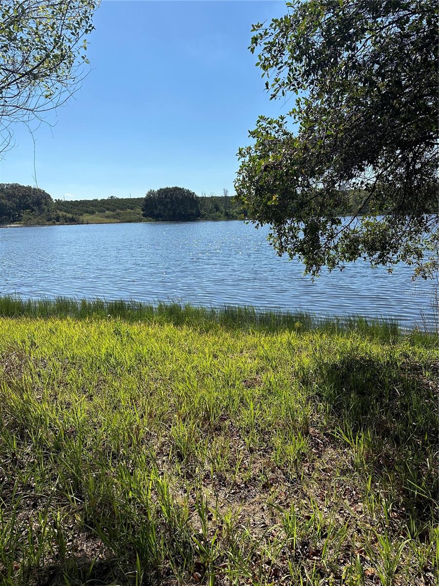 Details for Saltsdale Road, UMATILLA, FL 32784