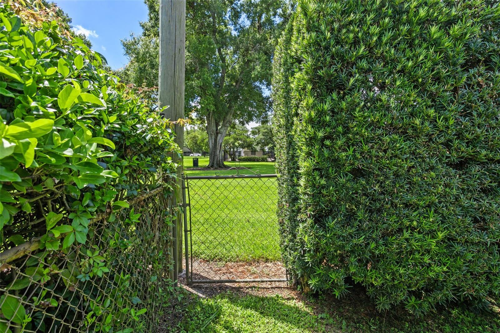 Image 36 of 45 For 4028 Ibis Drive