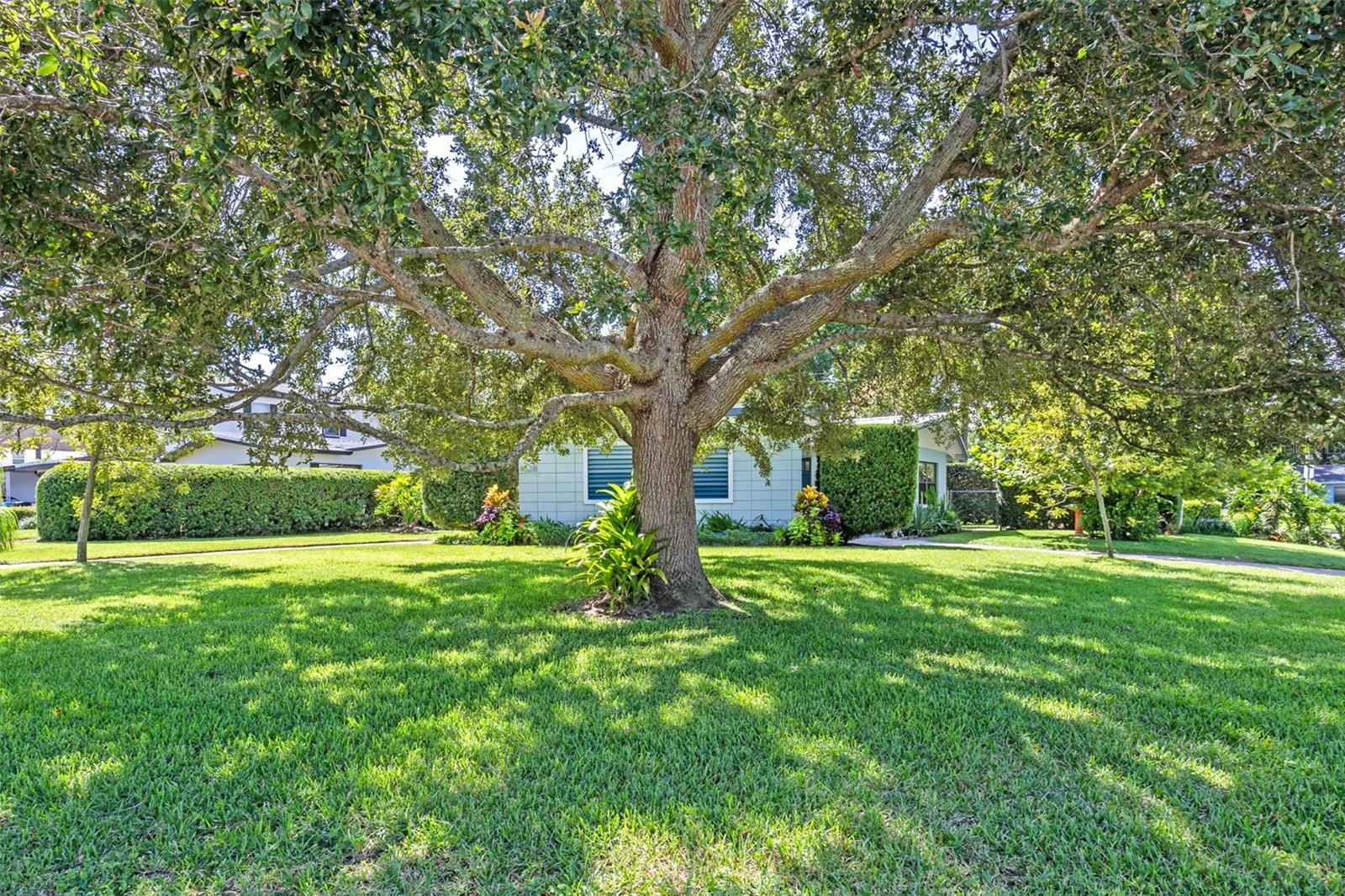 Image 7 of 45 For 4028 Ibis Drive