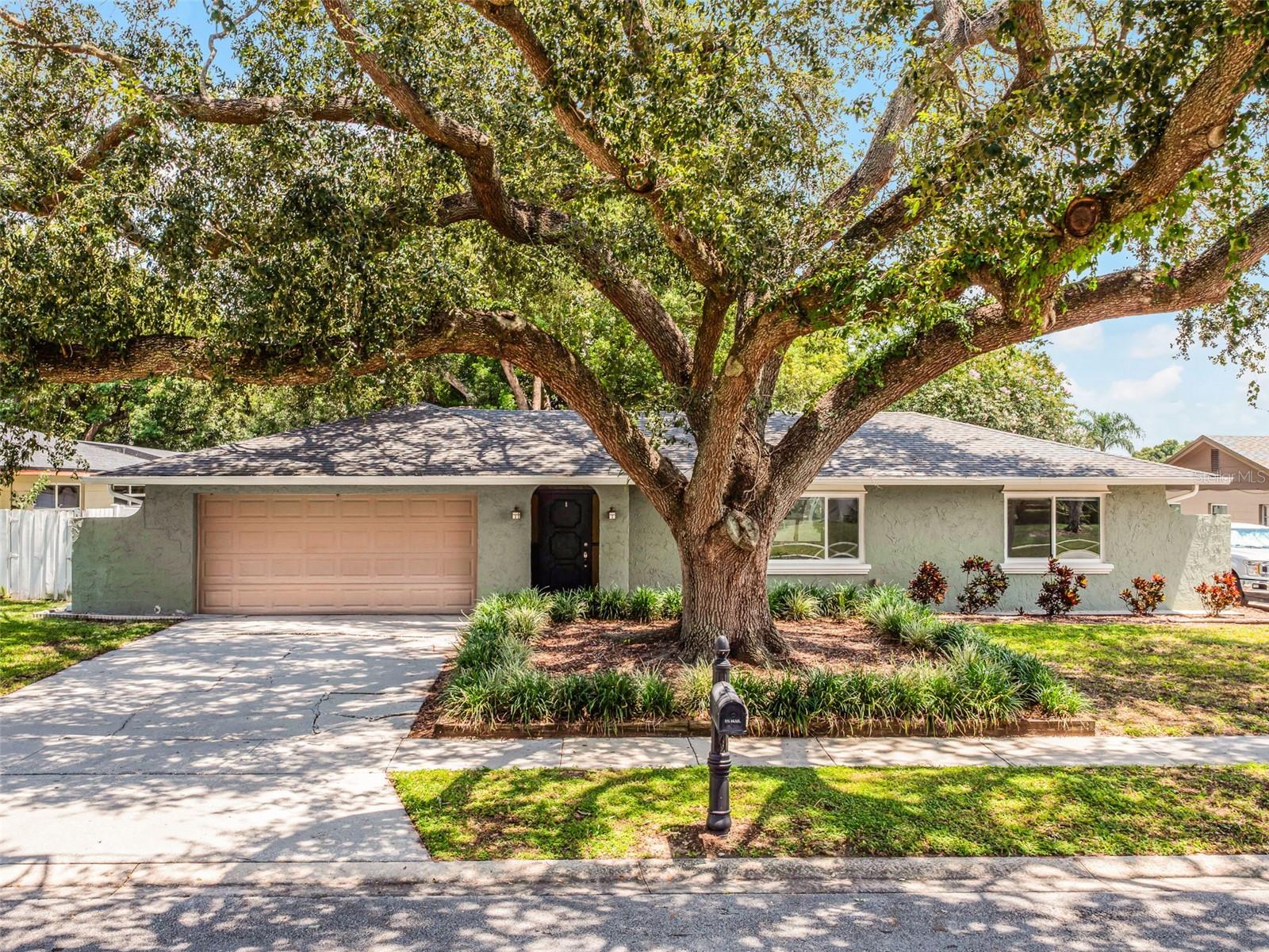 Image 4 of 41 For 618 Aldama Court