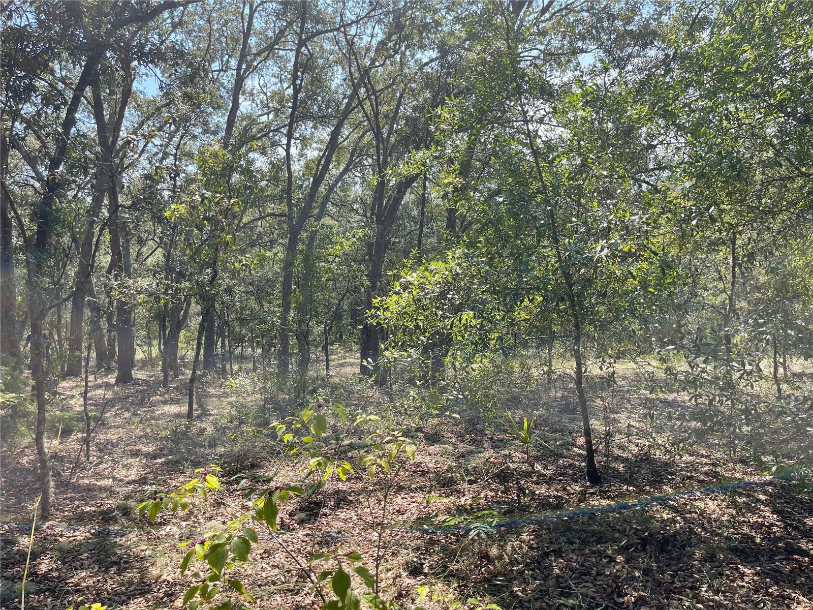 Image 5 of 10 For 00 Green Bay Drive Lot 21