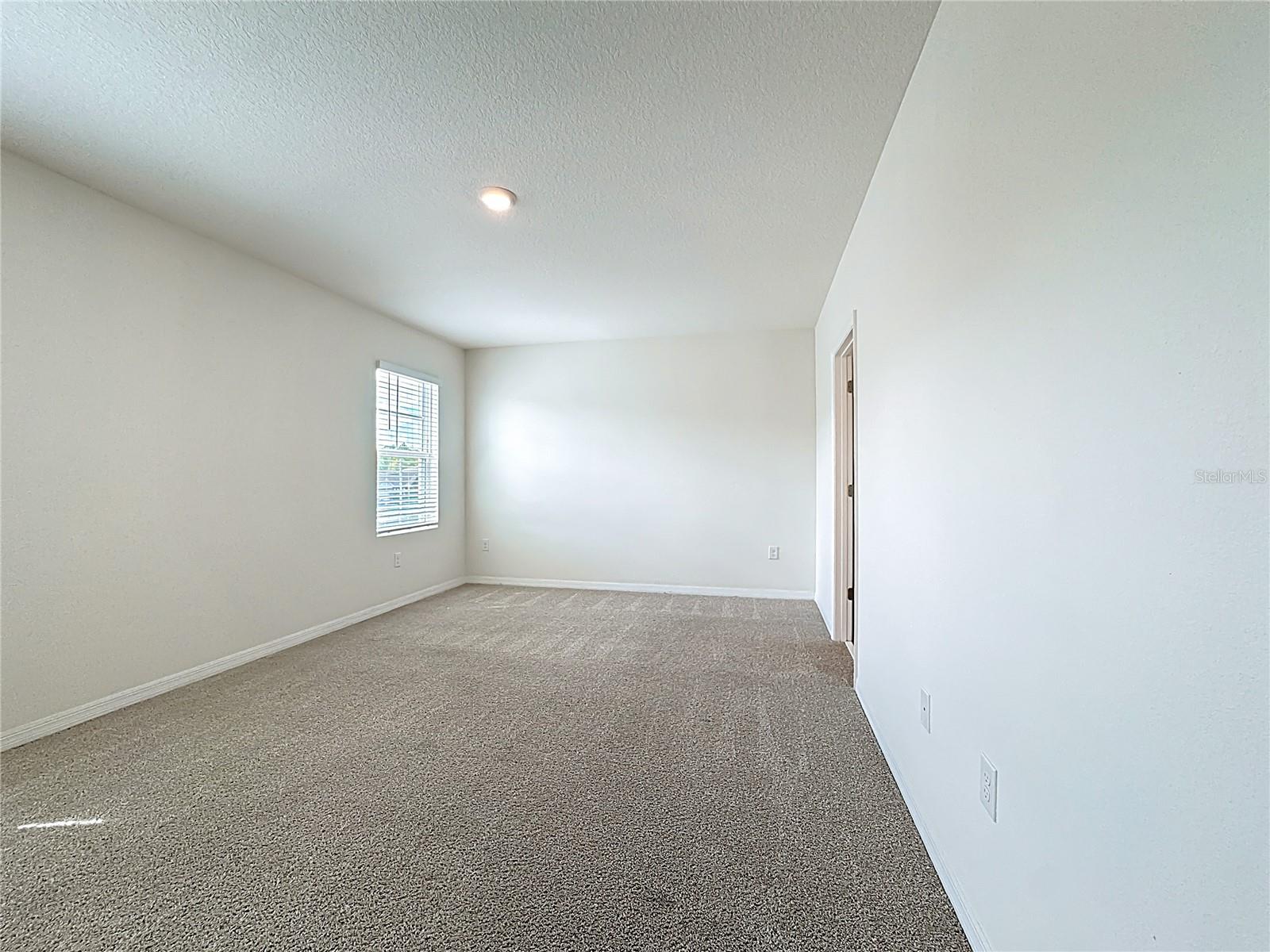 Image 19 of 49 For 2692 Reddish Egret Bend