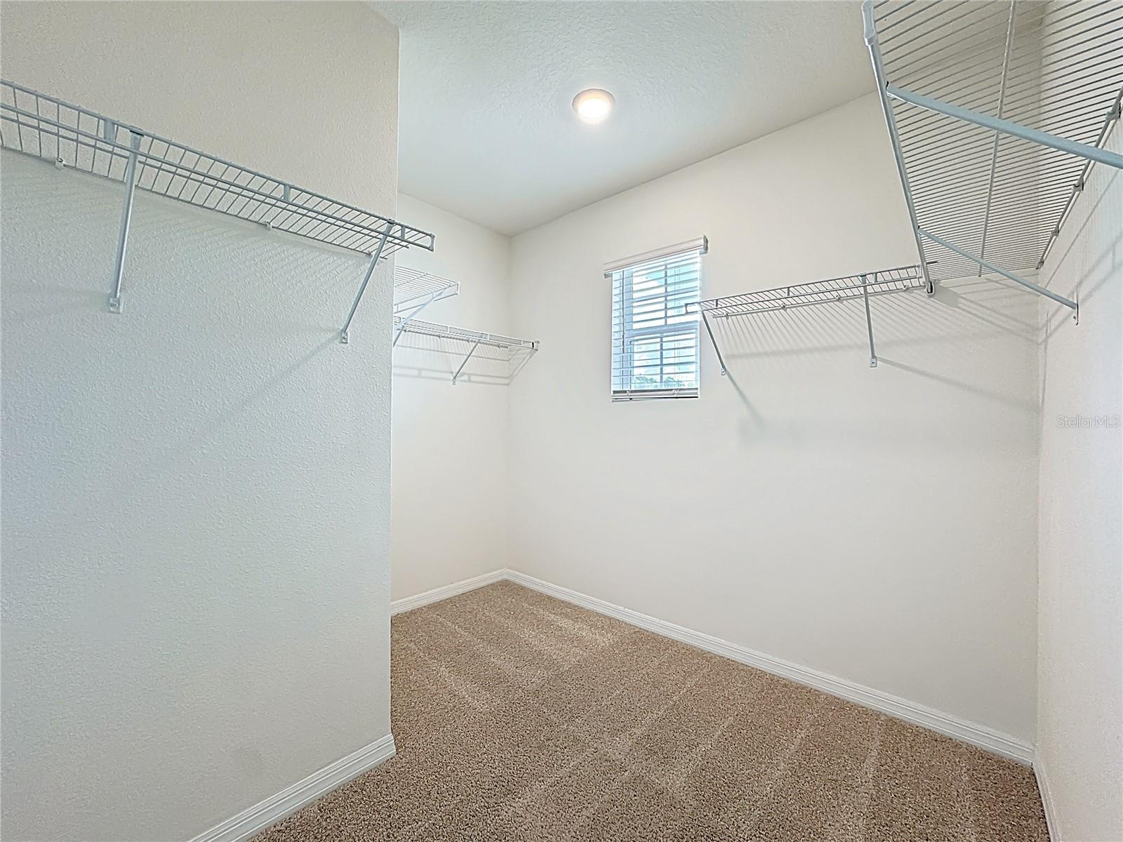 Image 24 of 49 For 2692 Reddish Egret Bend