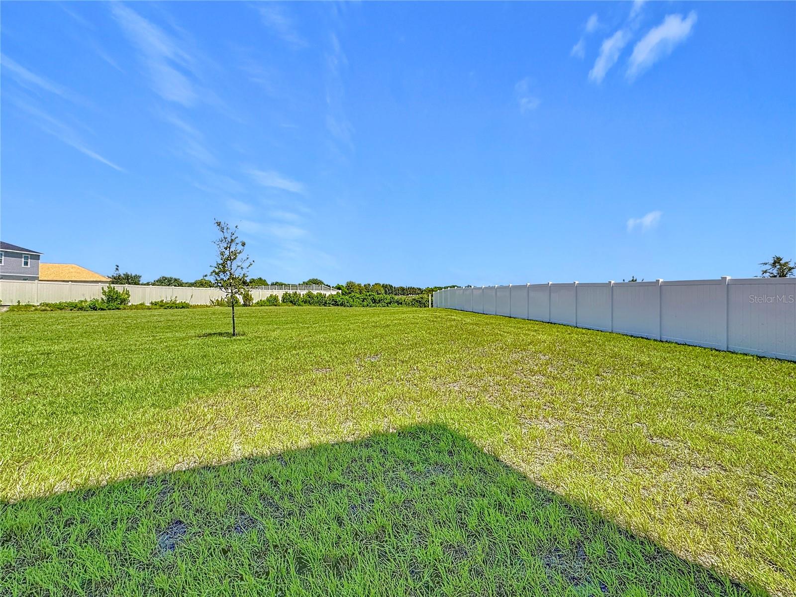 Image 42 of 49 For 2692 Reddish Egret Bend