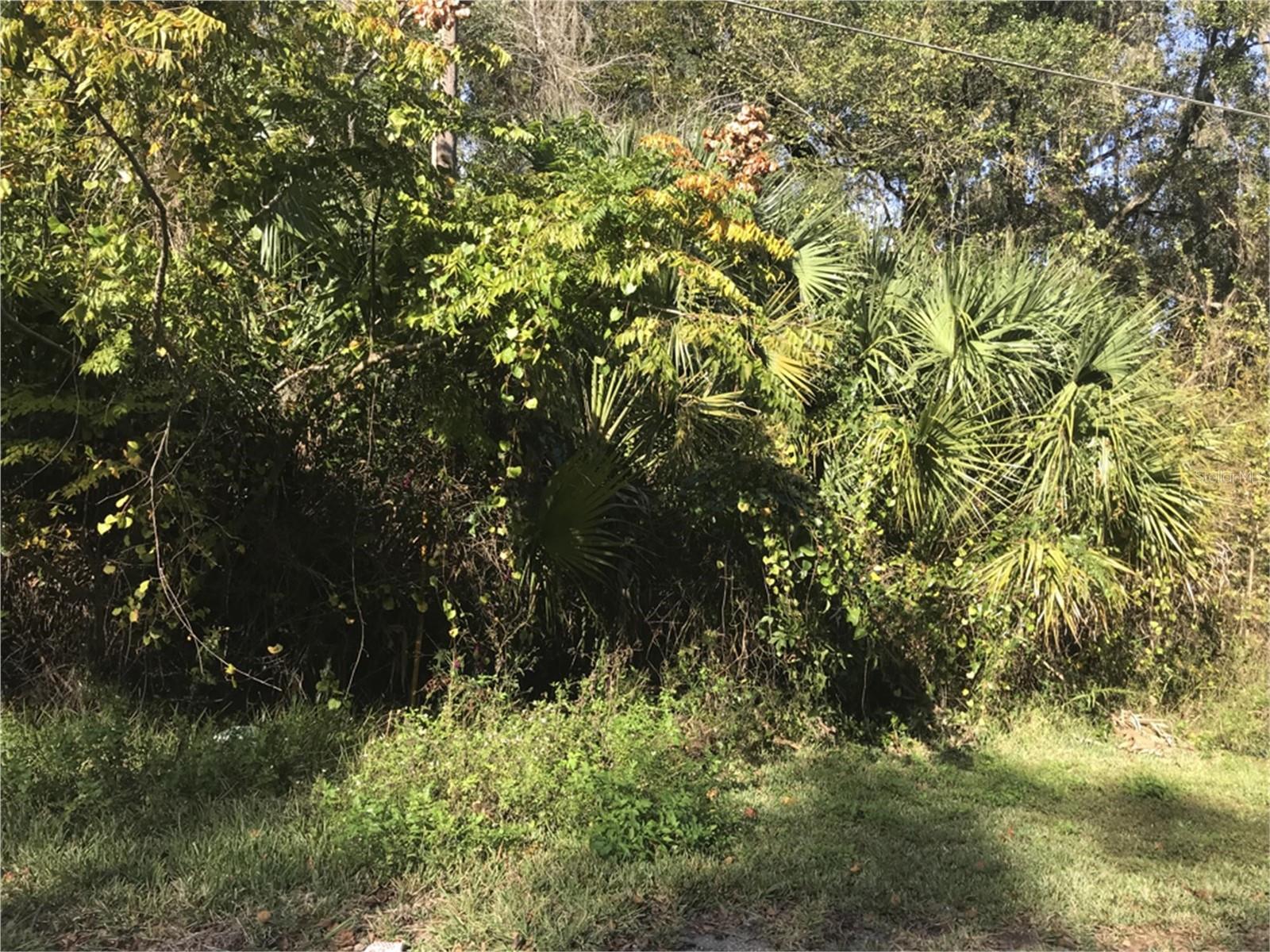 Details for  Lot 14  , LAKE PANASOFFKEE, FL 33538