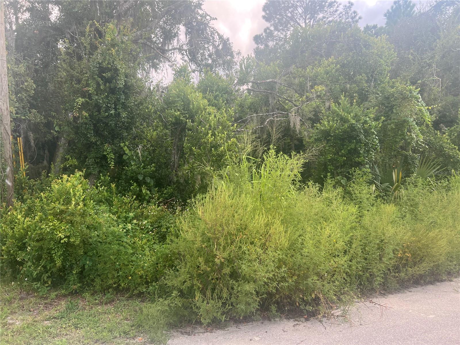 Details for Lots 123, 124, 125, 126 Herrick Avenue W, EUSTIS, FL 32726