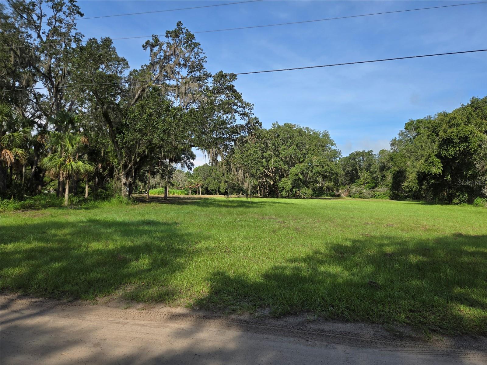 Details for Crystal Lane, UMATILLA, FL 32784