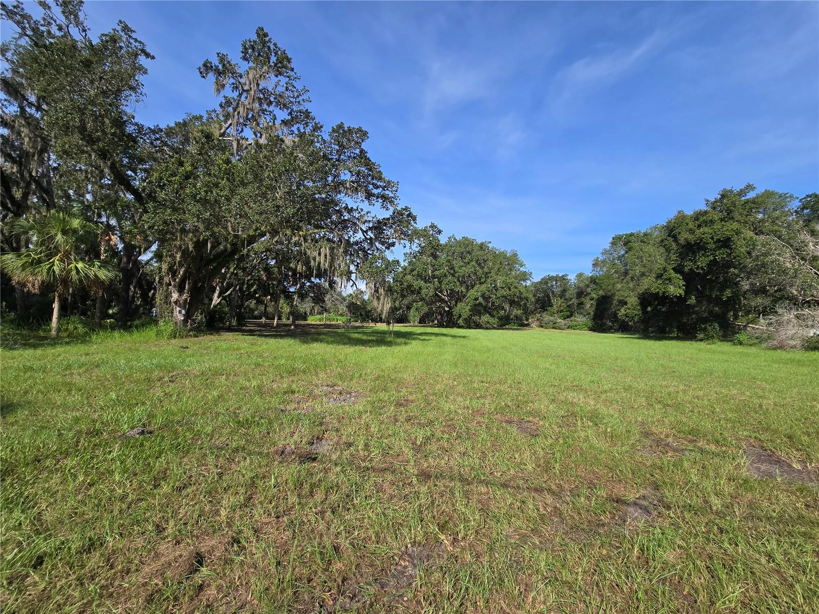 Image 9 of 18 For Crystal Lane