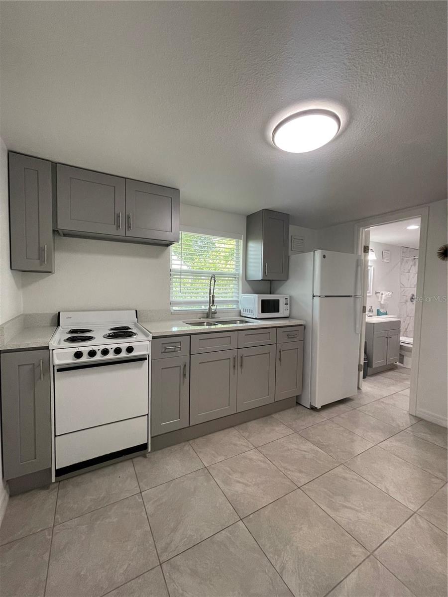 Image 8 of 19 For 1606 New Amsterdam Way Apt C
