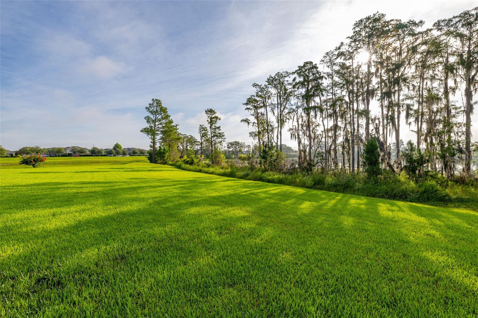 Image 48 of 60 For 9549 Bolero Road