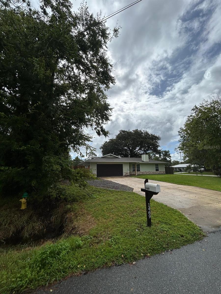Image 8 of 40 For 1469 General Custer Avenue