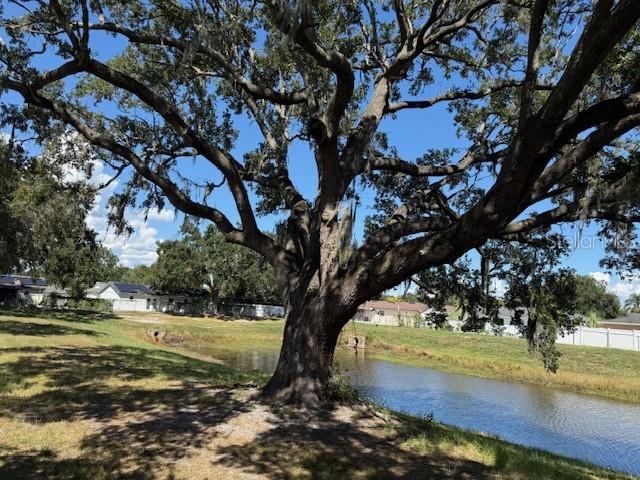 Image 44 of 46 For 2539 Christine Drive