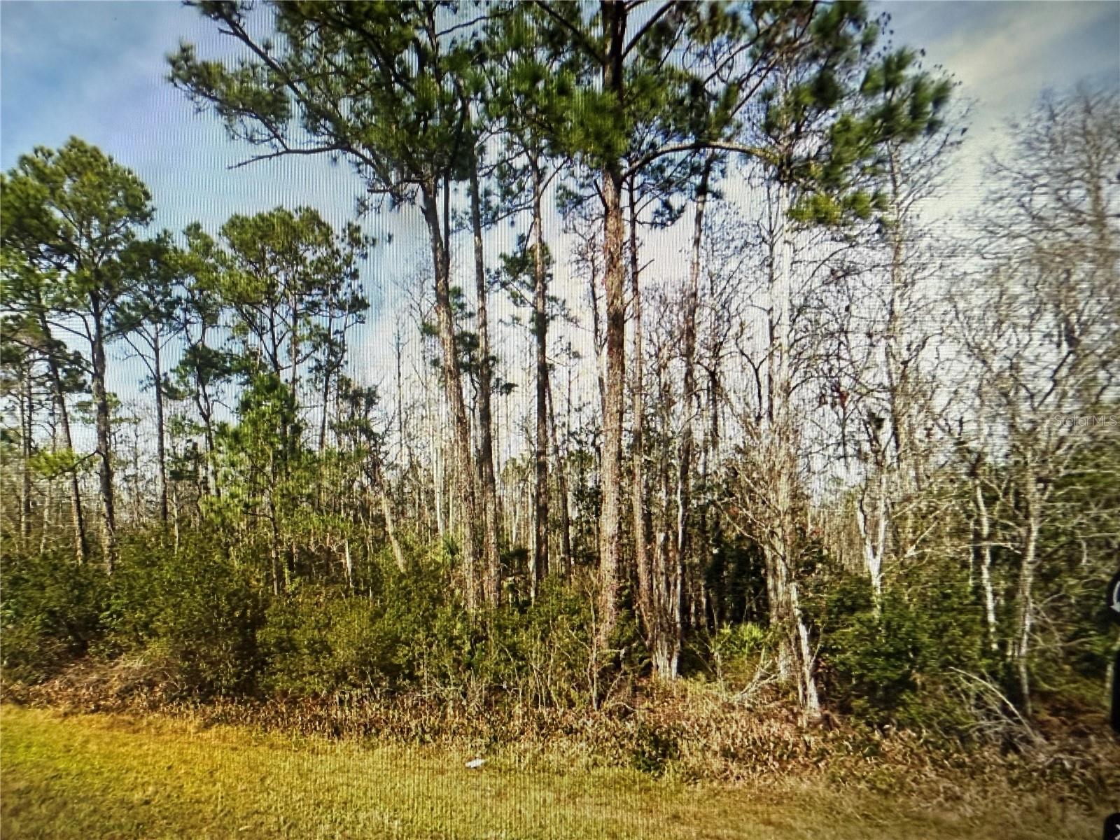 Image 15 of 15 For 20617 Colonial Drive