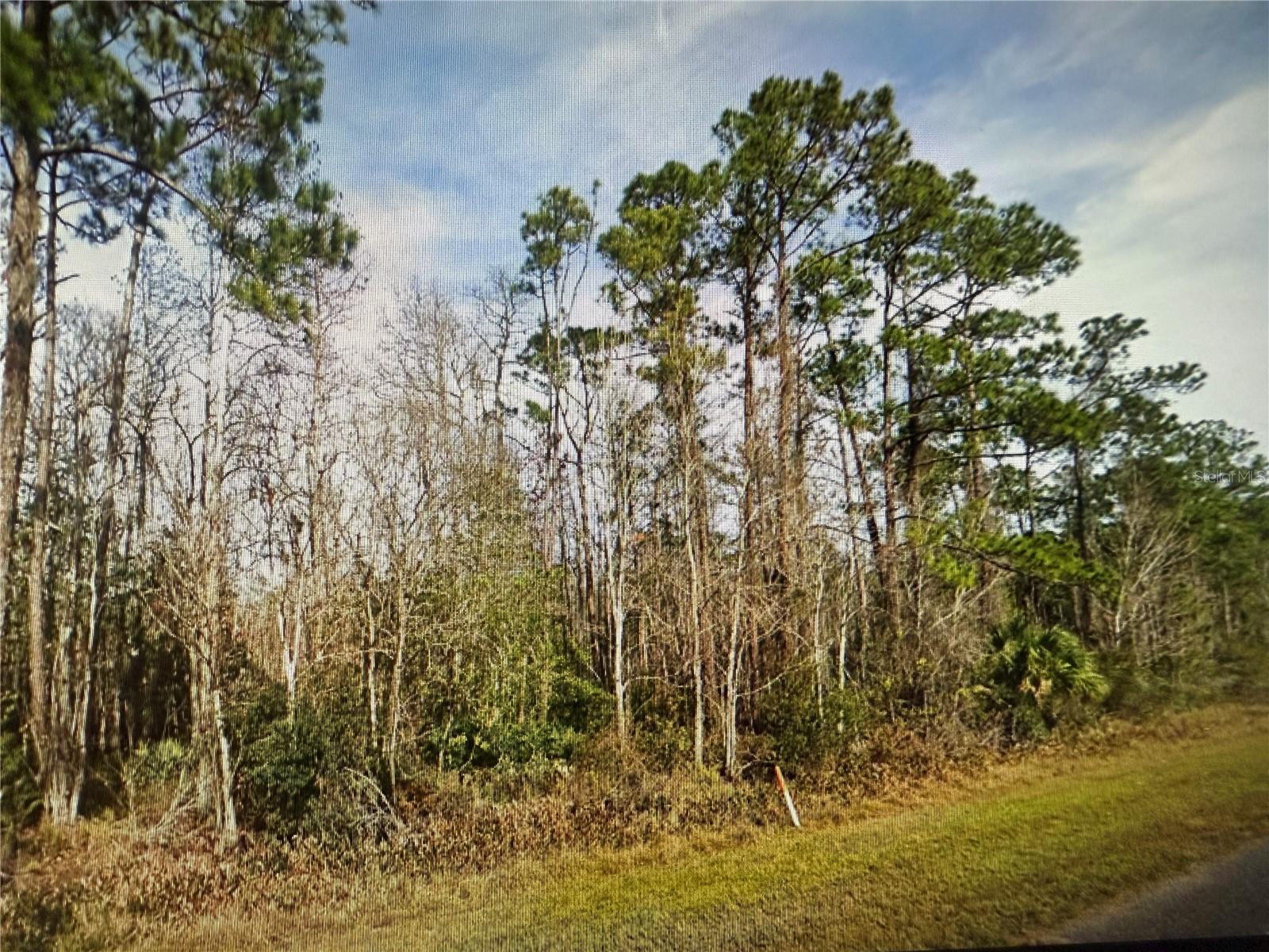 Image 2 of 6 For 20617 Colonial Drive