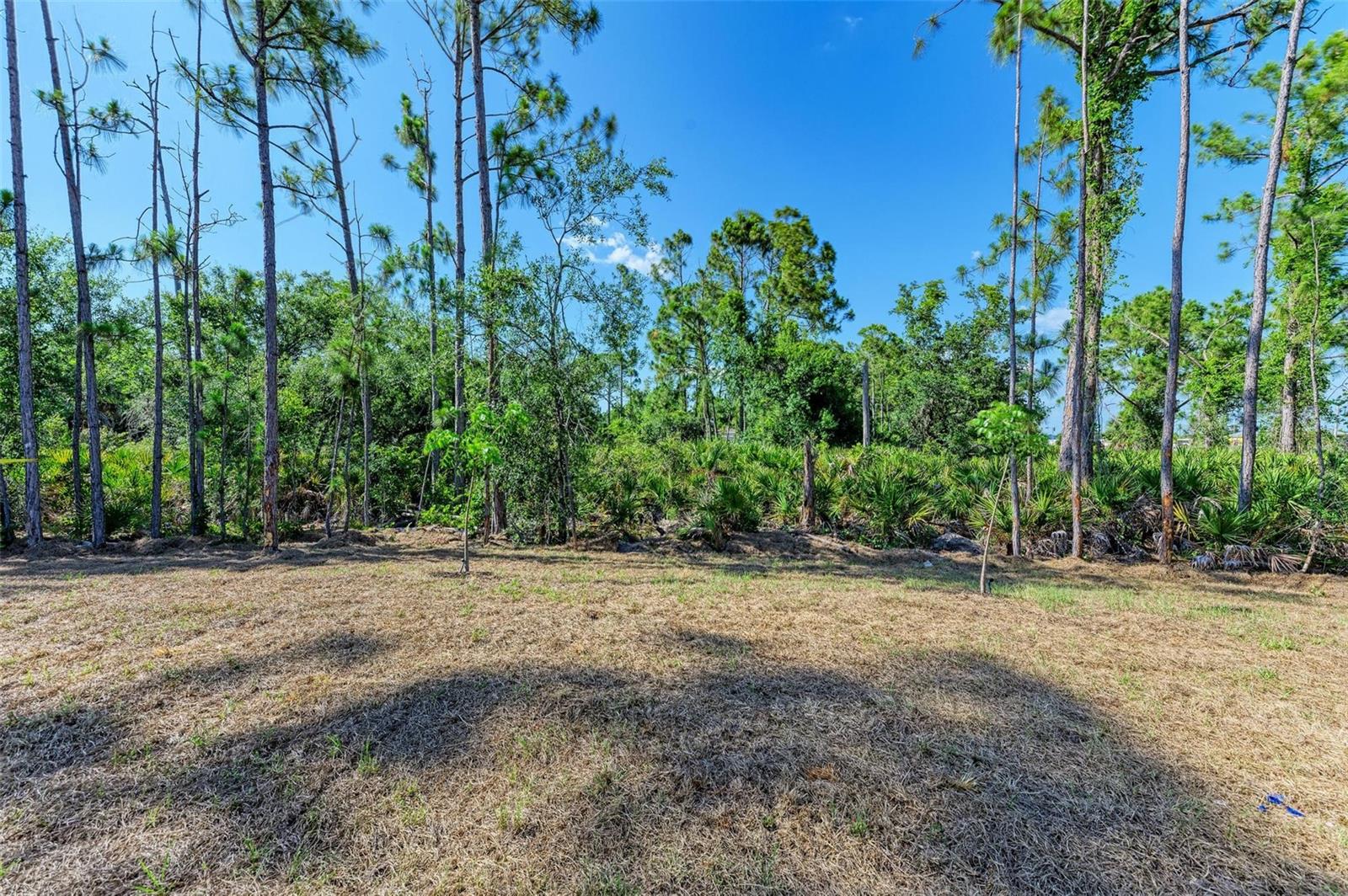 Image 25 of 26 For 1217 Birchcrest Boulevard