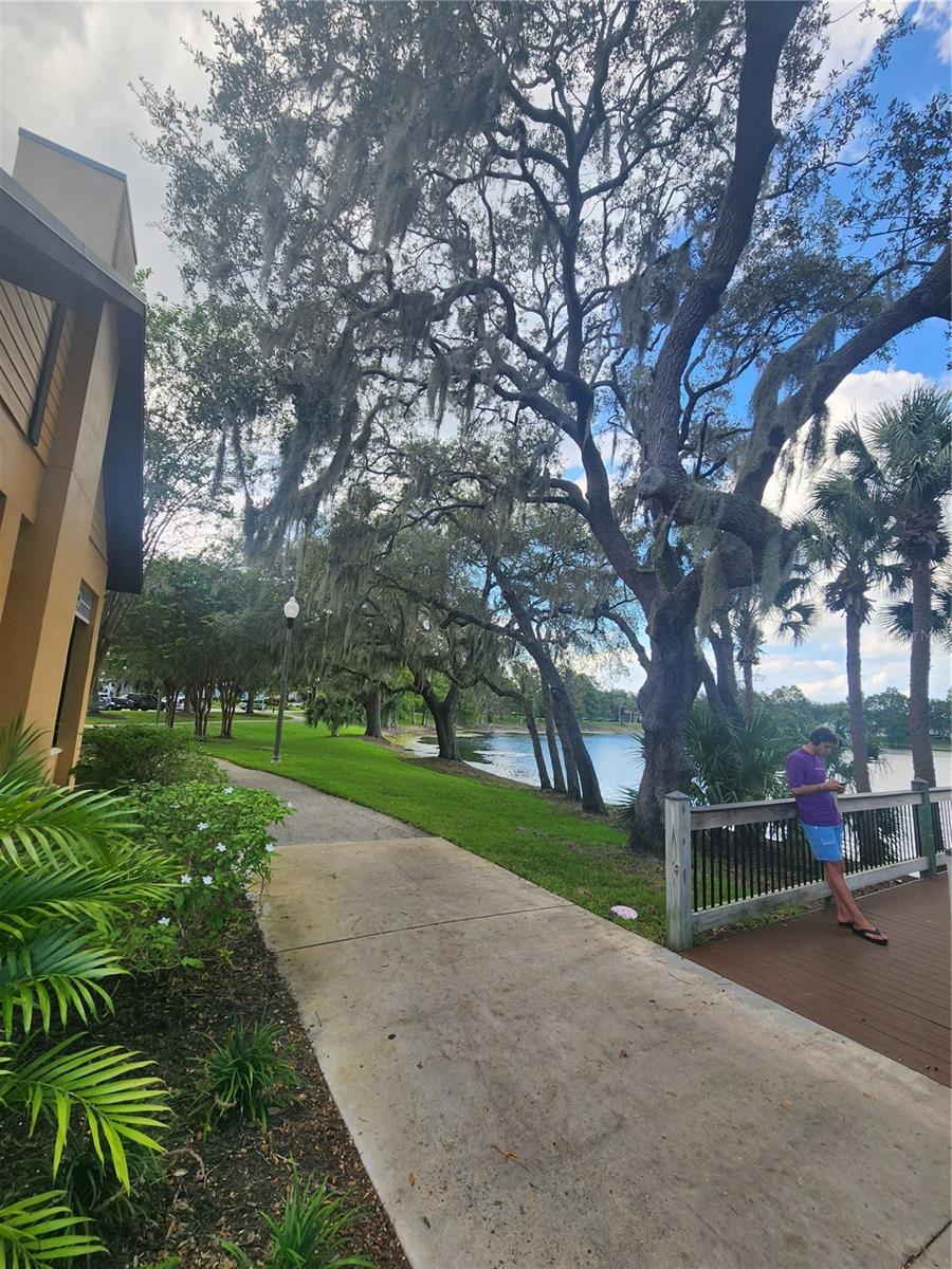 Image 45 of 52 For 13808 Ancilla Boulevard