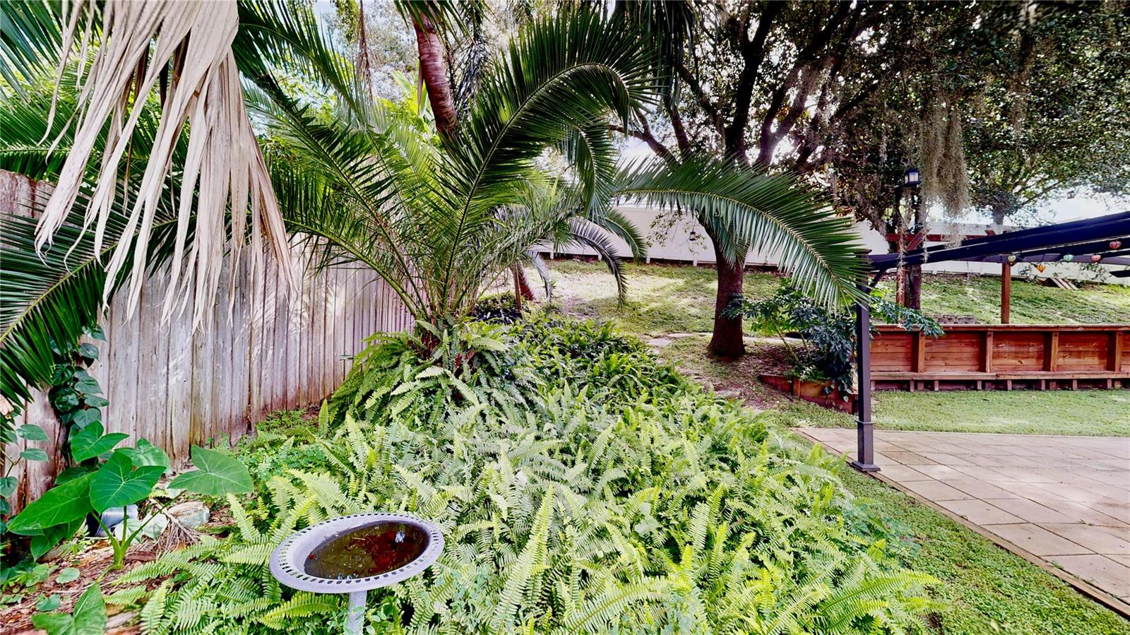 Image 47 of 48 For 1307 Rain Forest Lane