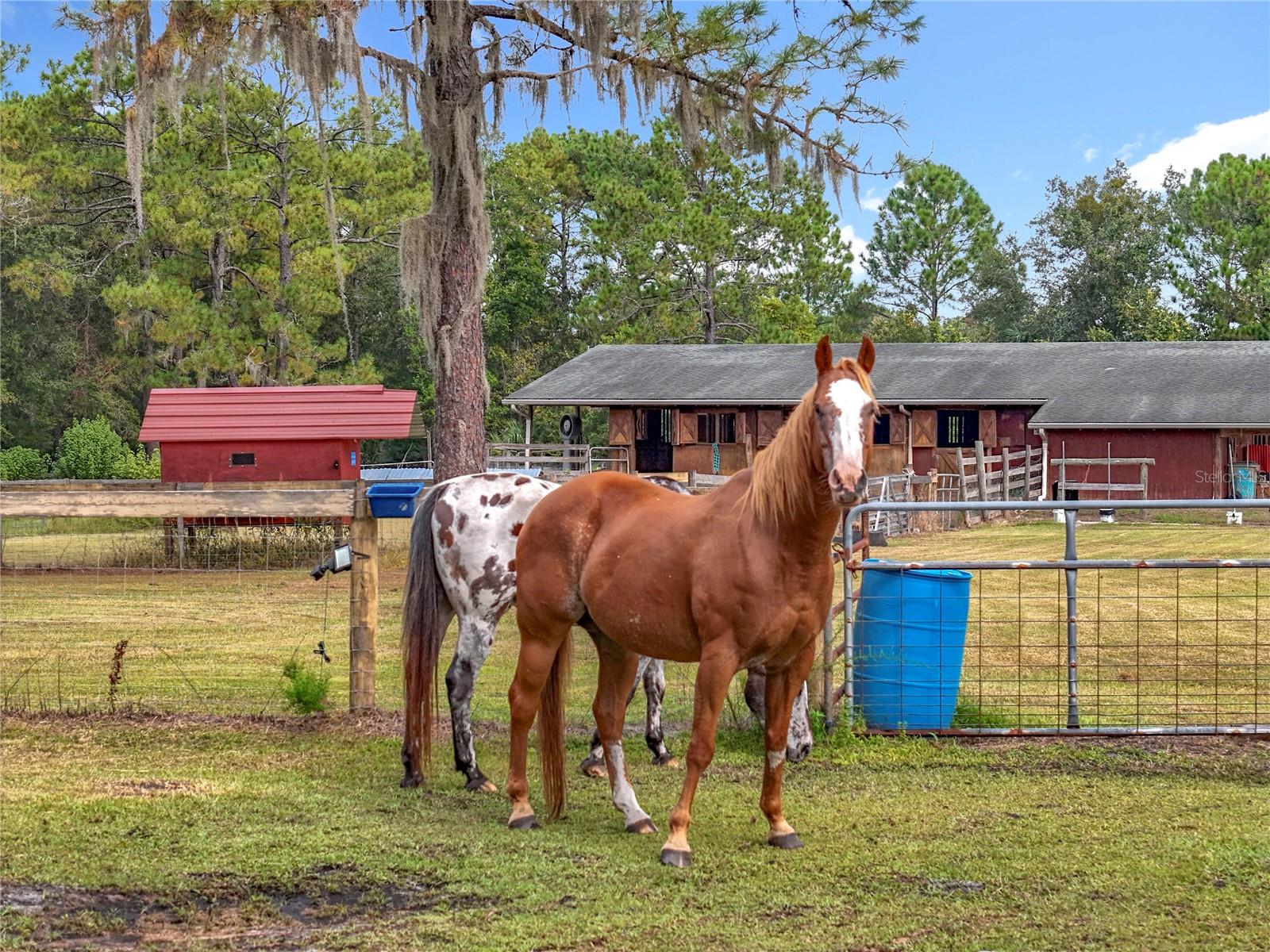 Image 4 of 100 For 21320 Paradise Way