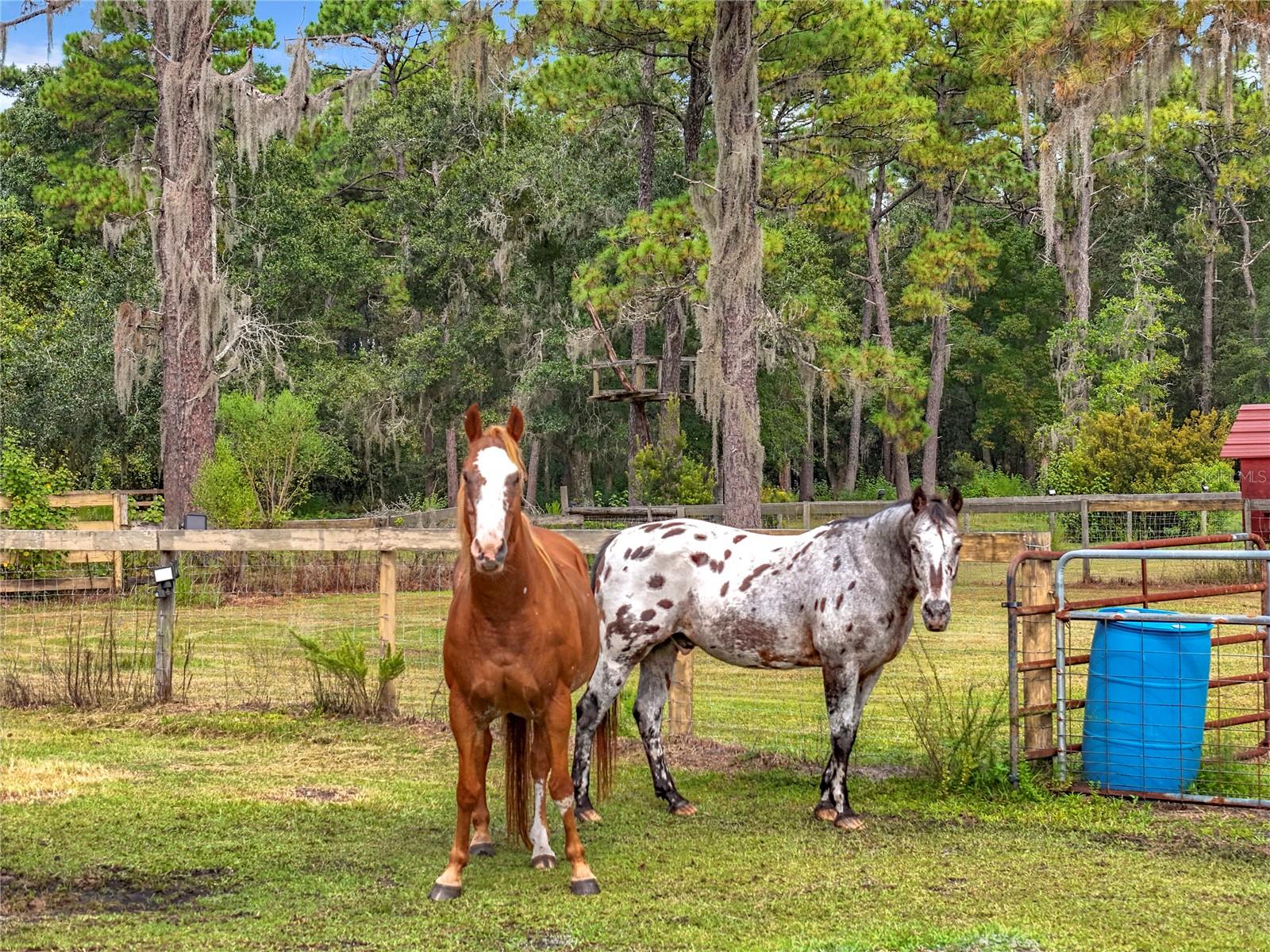 Image 5 of 100 For 21320 Paradise Way