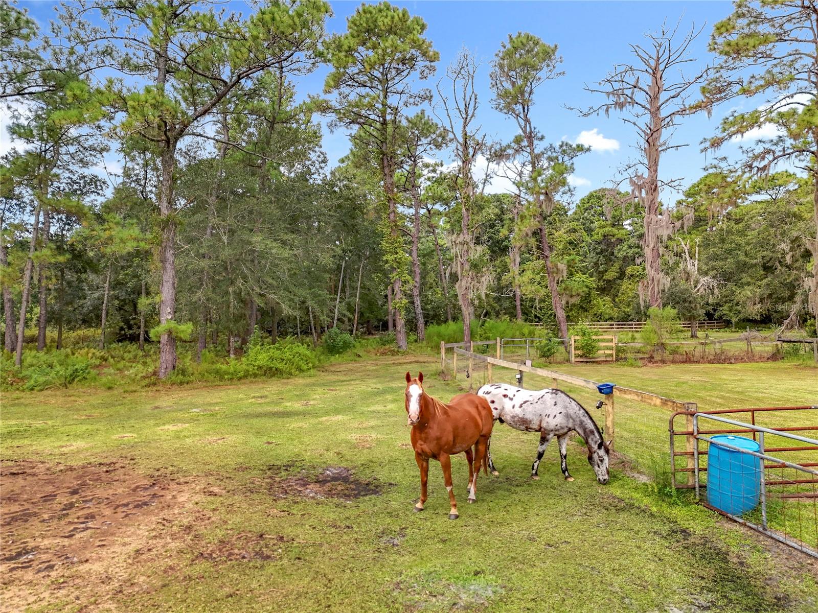 Image 92 of 100 For 21320 Paradise Way