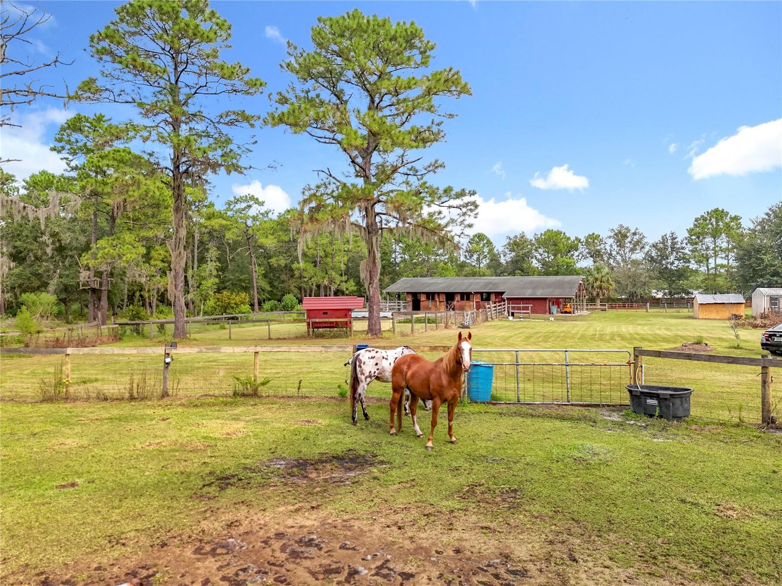 Image 93 of 100 For 21320 Paradise Way