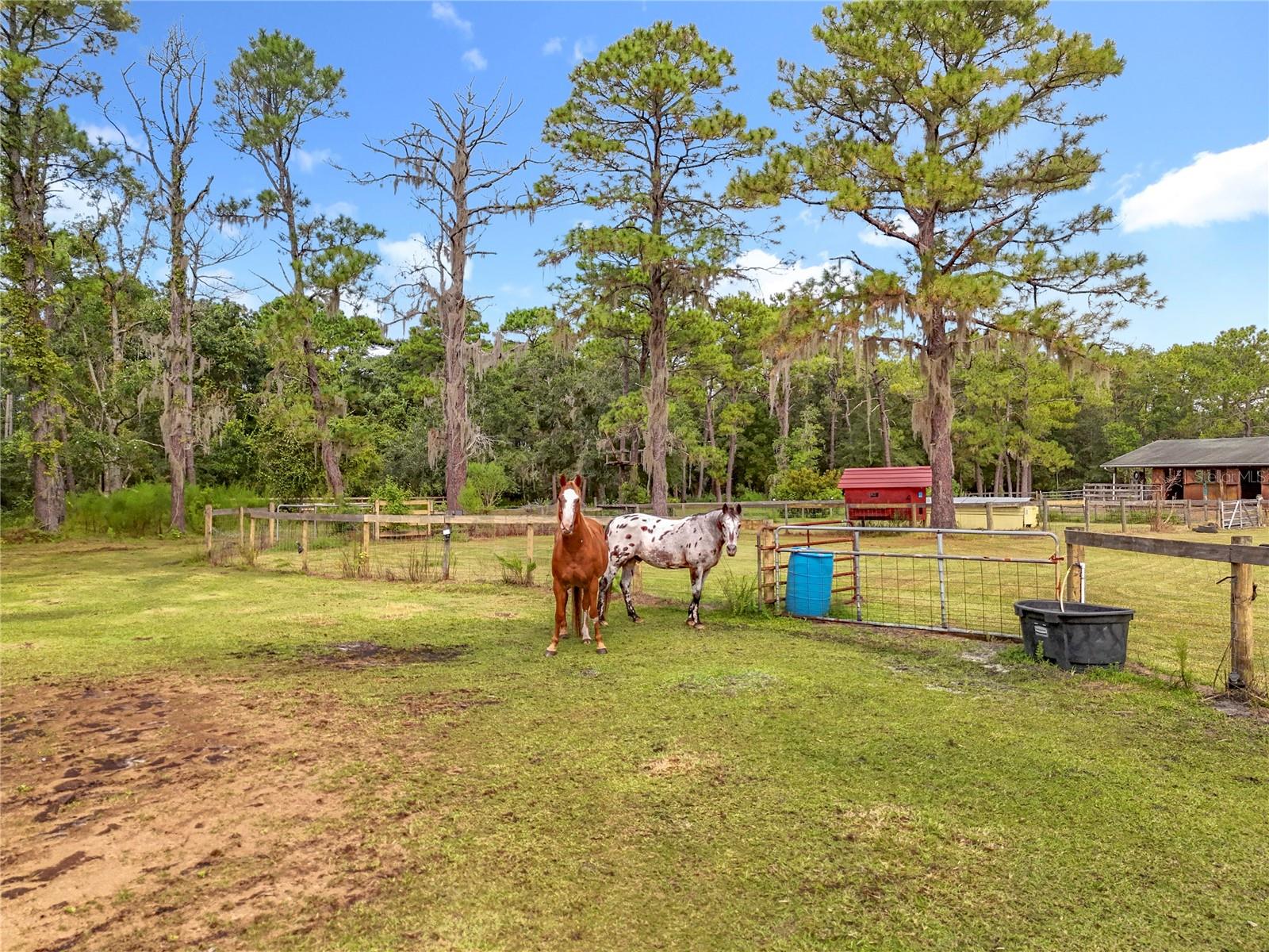 Image 94 of 100 For 21320 Paradise Way