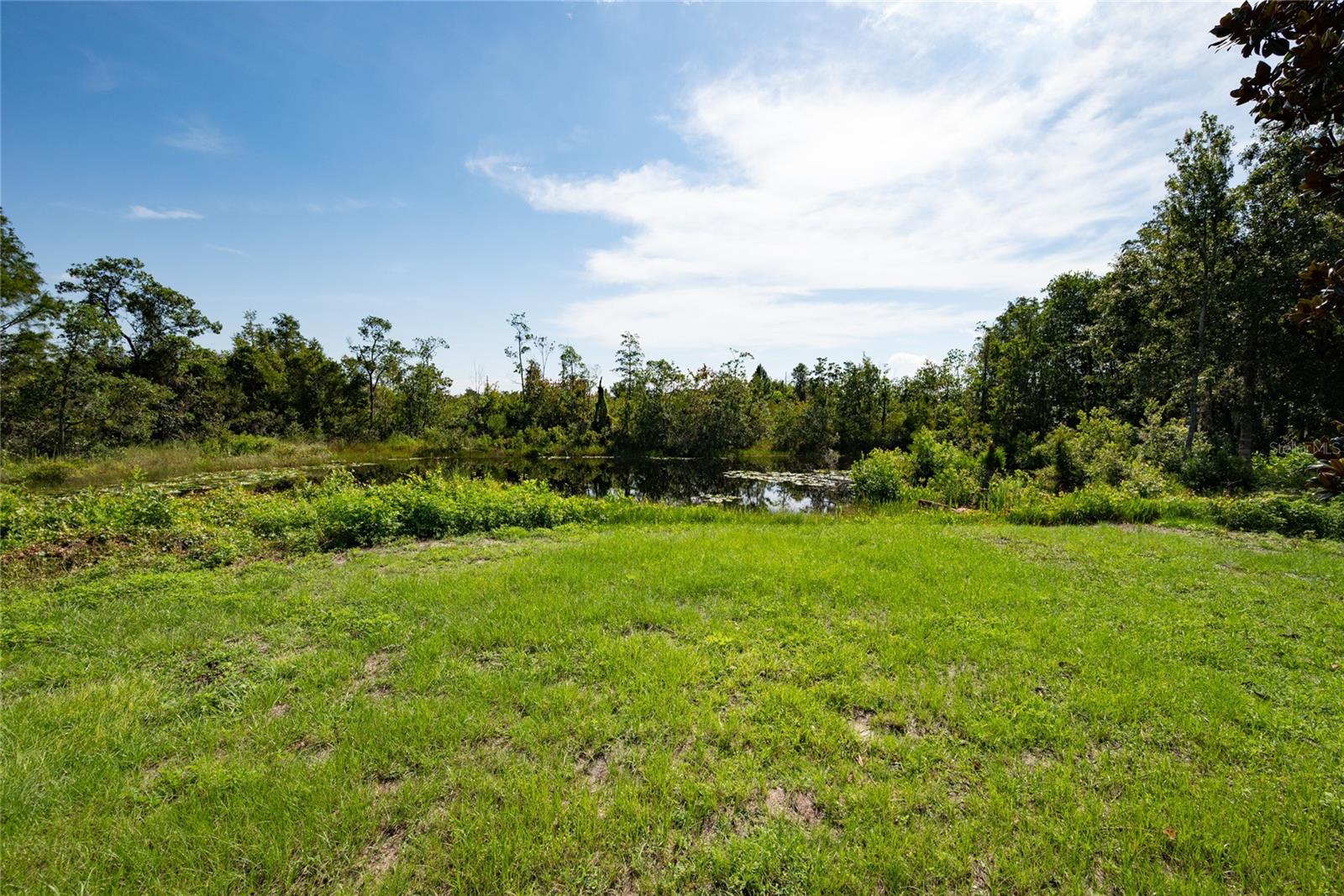 Image 15 of 16 For 2641 Mcmichael Road