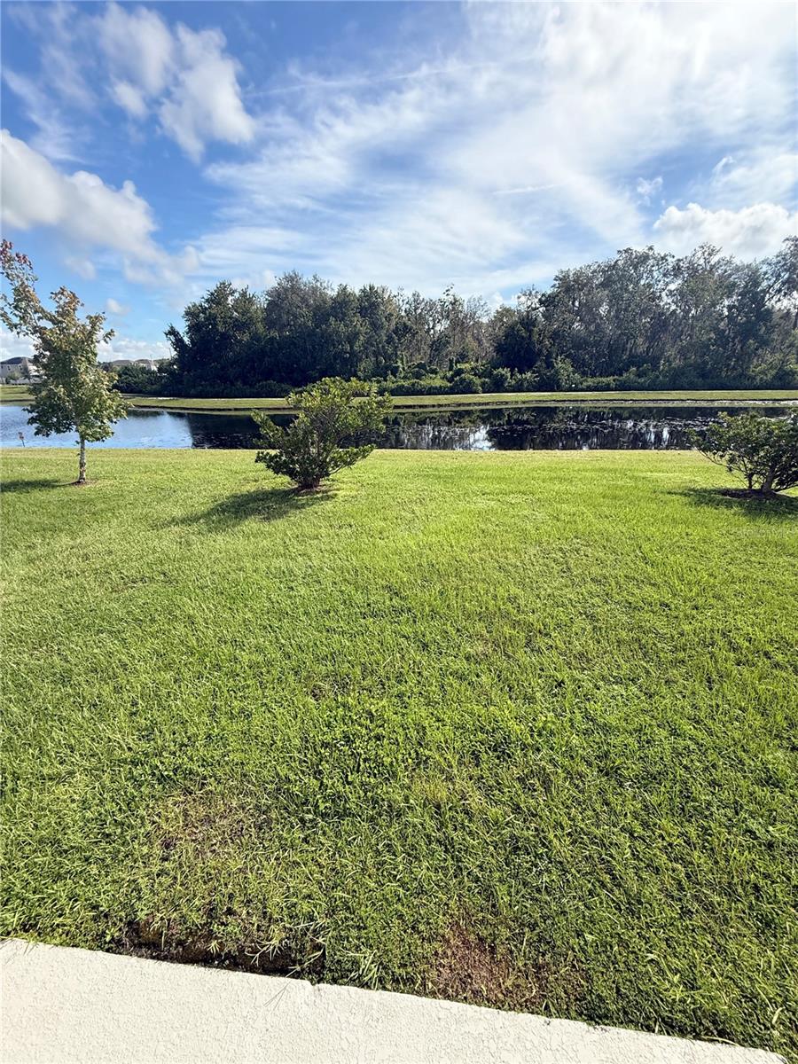 Image 32 of 32 For 2013 Myrtle Pine Street