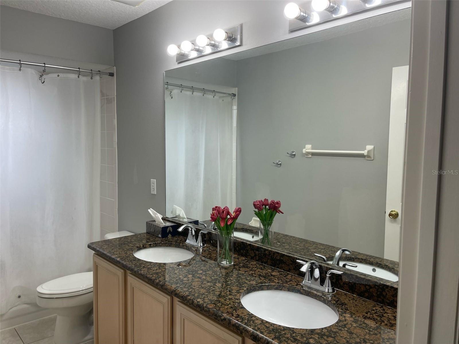 Image 3 of 17 For 8234 Diamond Cove Circle