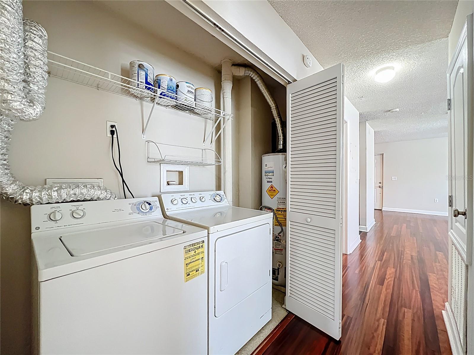 Image 33 of 43 For 2019 Dixie Belle Drive 2019t