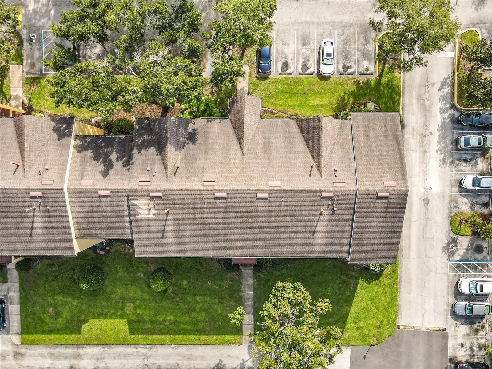 Image 37 of 43 For 2019 Dixie Belle Drive 2019t
