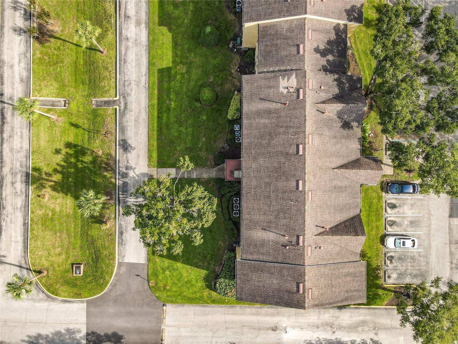 Image 38 of 43 For 2019 Dixie Belle Drive 2019t