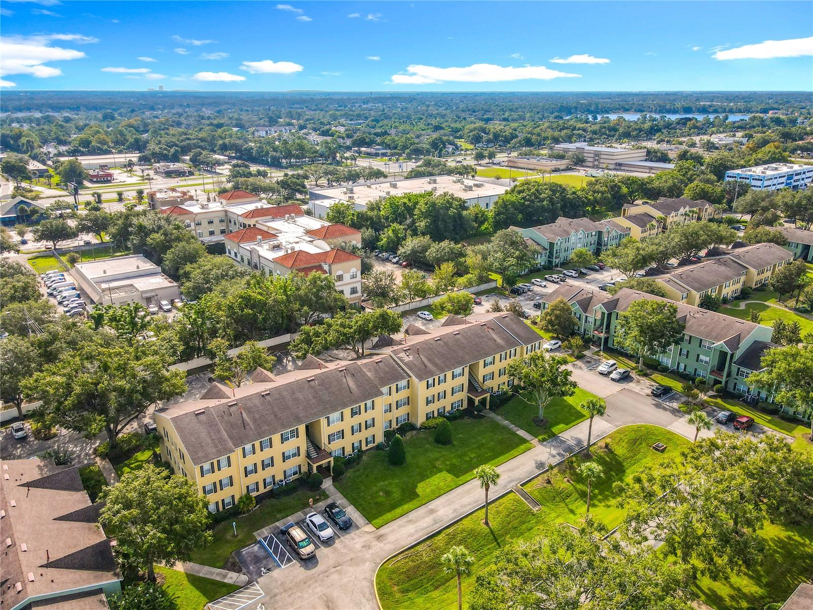 Image 42 of 43 For 2019 Dixie Belle Drive 2019t