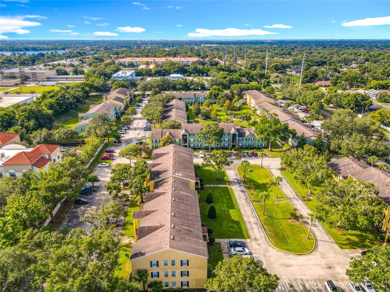 Image 43 of 43 For 2019 Dixie Belle Drive 2019t