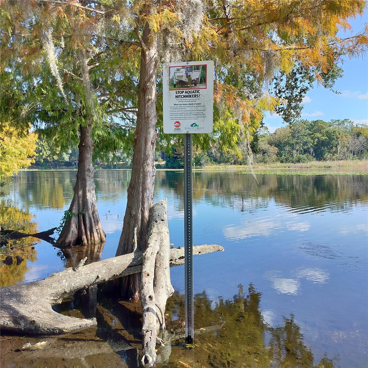 Image 53 of 54 For 3708 Mirror Lake Drive