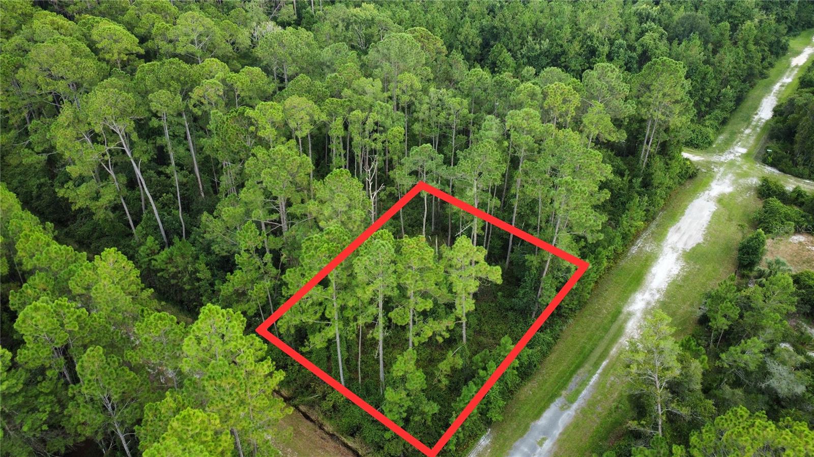 Details for 401 Dogwood Avenue, GEORGETOWN, FL 32139