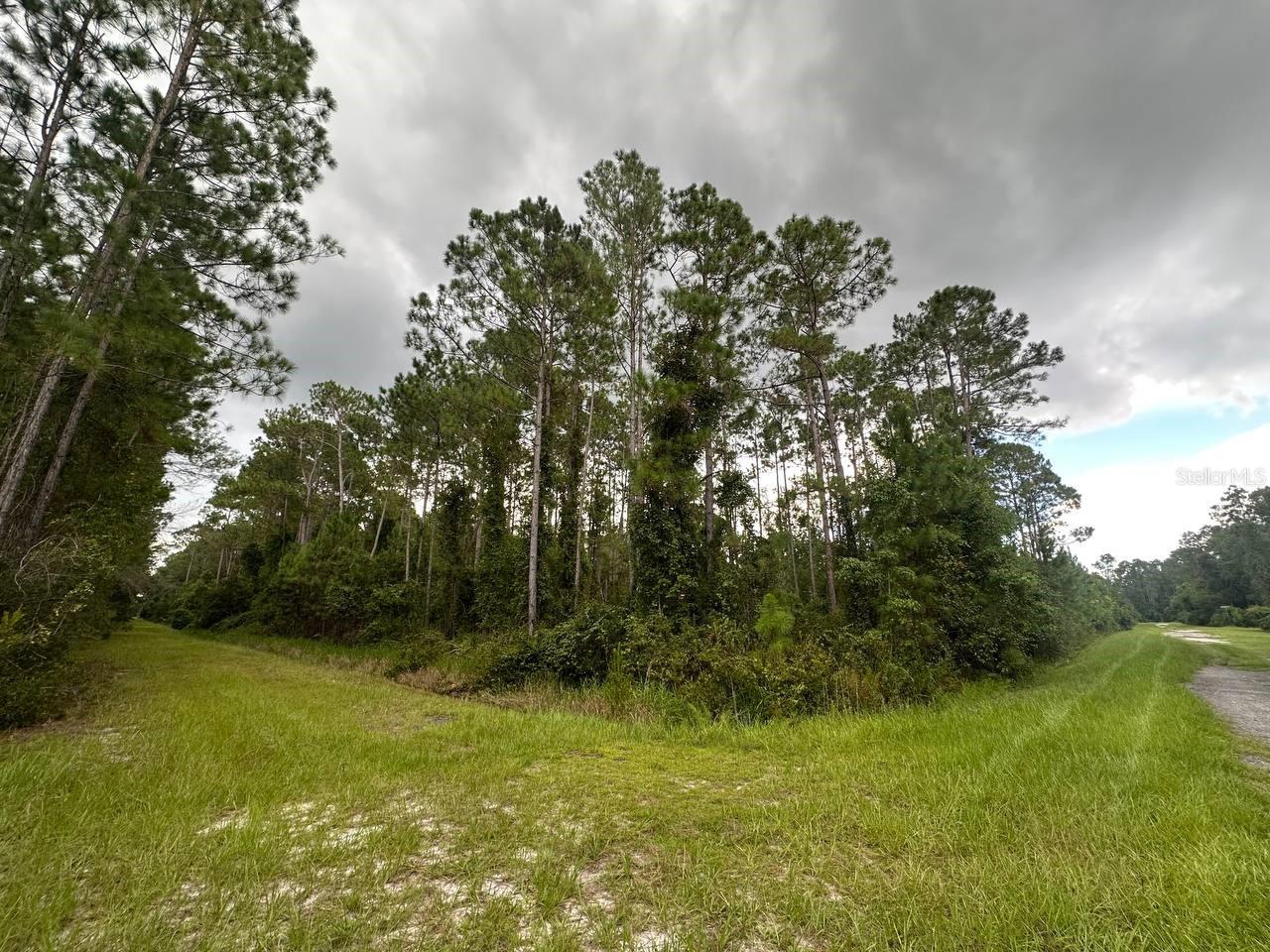 Image 2 of 3 For 401 Dogwood Avenue