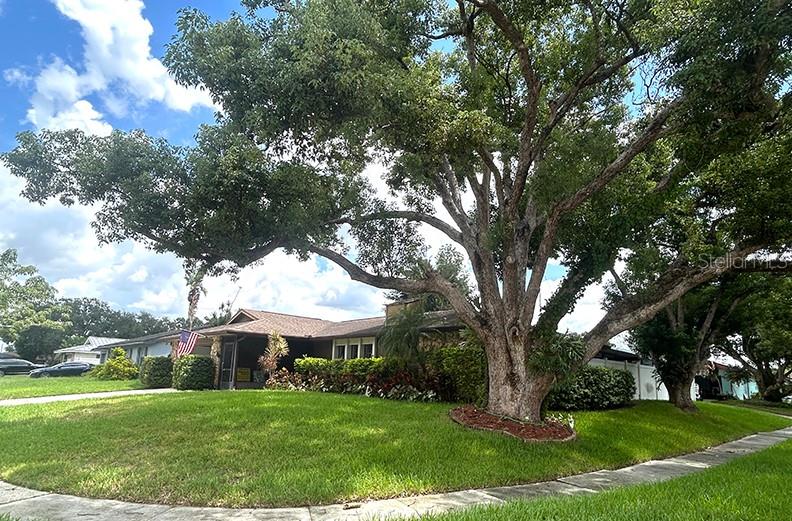 Image 7 of 51 For 4791 Deer Road