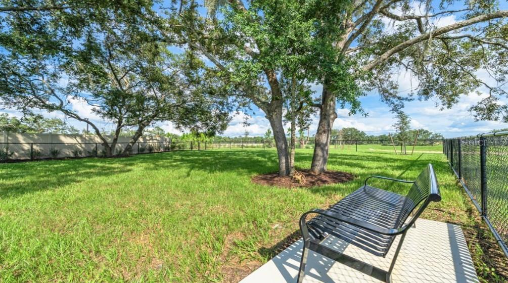 Image 26 of 27 For 13373 Tropical Breeze Way