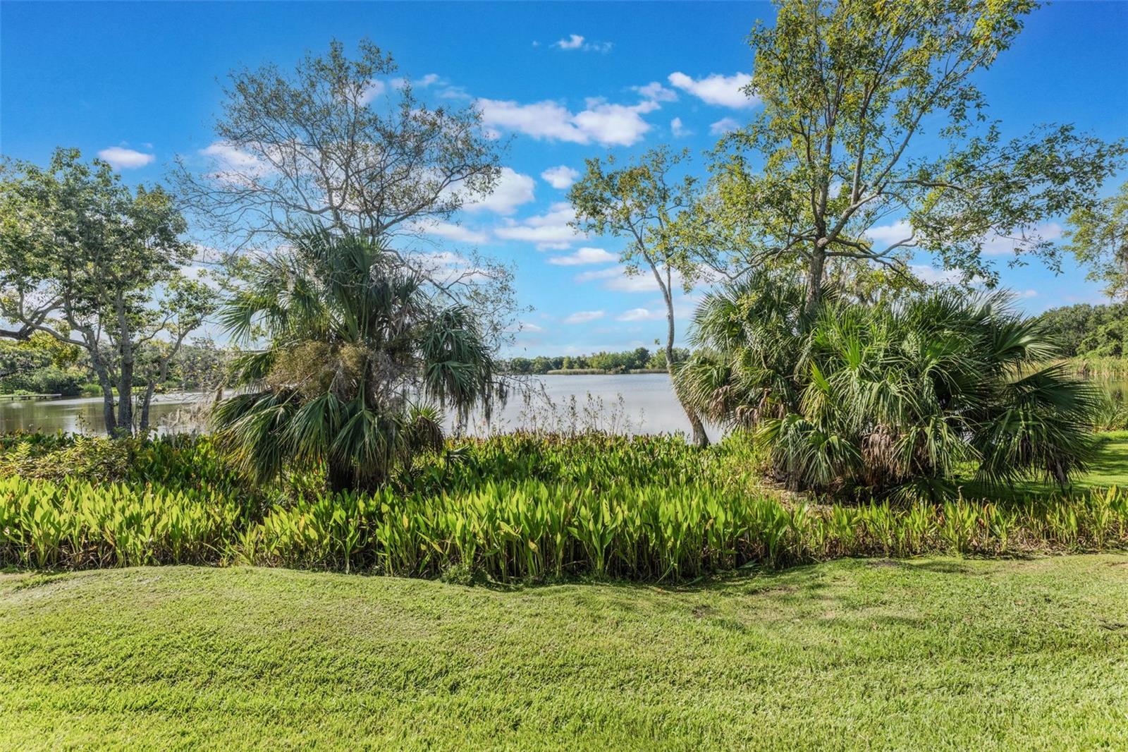 Image 3 of 62 For 12463 Westfield Lakes Circle