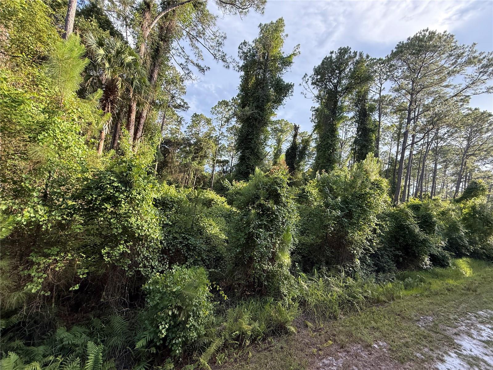 Image 4 of 4 For 413 Dogwood Avenue