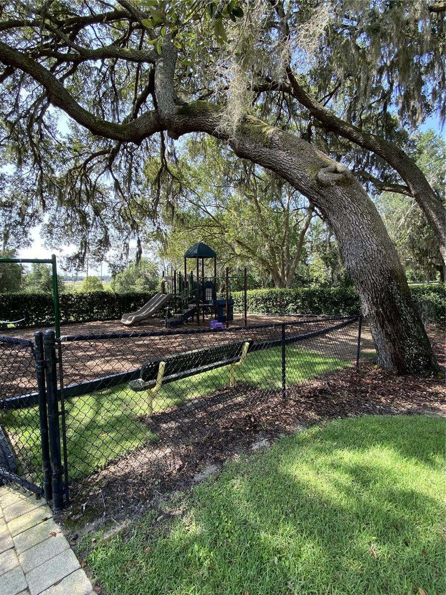 Image 17 of 24 For 33614 Campeon Court