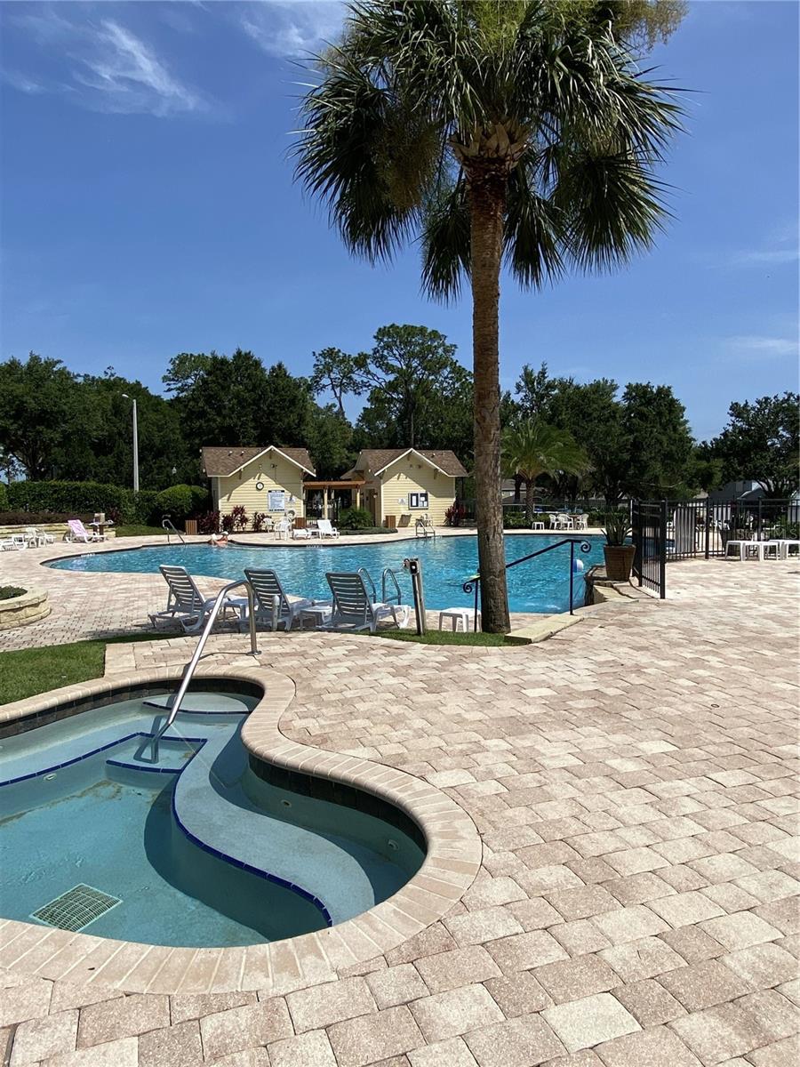 Image 21 of 24 For 33614 Campeon Court