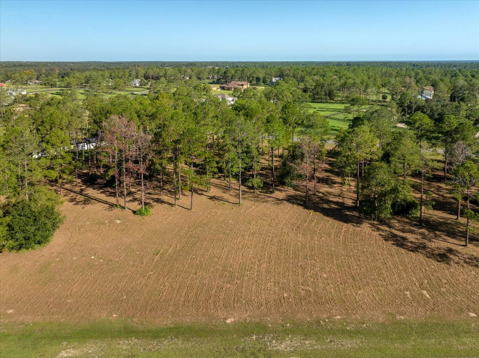 Image 10 of 11 For 35135 Pinegate Trail
