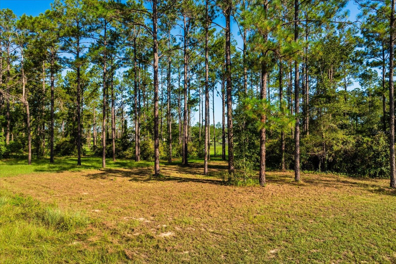 Image 11 of 11 For 35135 Pinegate Trail