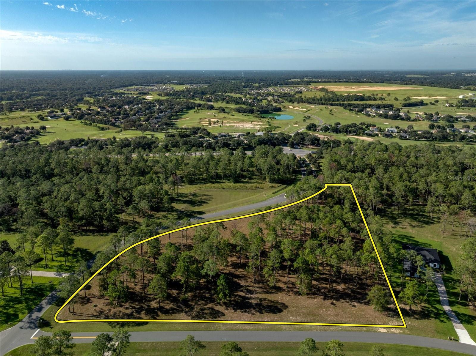 Image 4 of 11 For 35135 Pinegate Trail